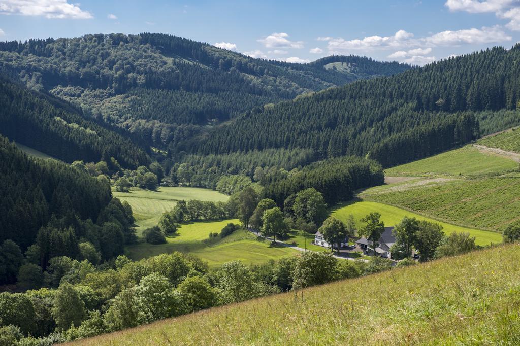 Landhaus Zum Sorpetal Hotel Schmallenberg Eksteriør billede
