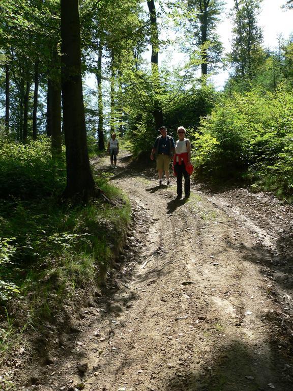 Landhaus Zum Sorpetal Hotel Schmallenberg Eksteriør billede