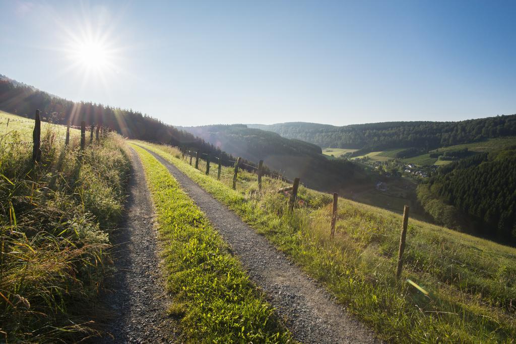 Landhaus Zum Sorpetal Hotel Schmallenberg Eksteriør billede