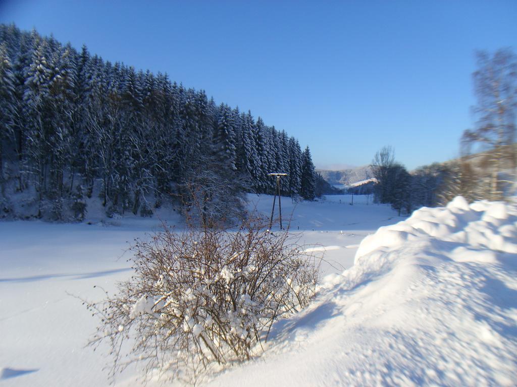 Landhaus Zum Sorpetal Hotel Schmallenberg Eksteriør billede