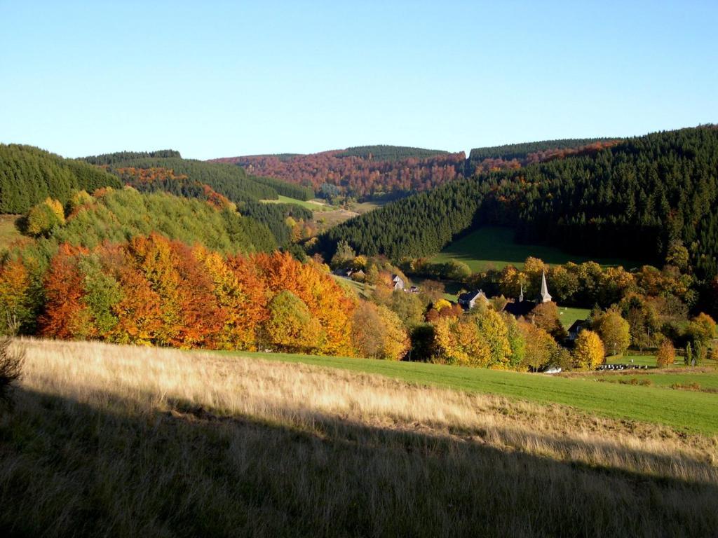 Landhaus Zum Sorpetal Hotel Schmallenberg Eksteriør billede